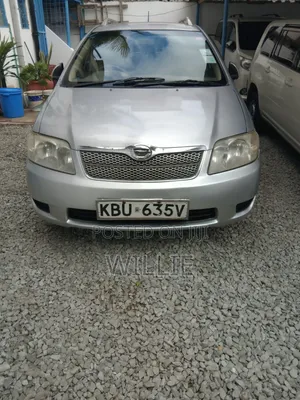 Toyota Corolla Fielder 2006 Silver