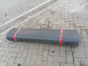 Plastic Geogrid Mesh