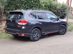 Subaru Forester 2019 Gray