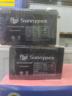 12v 12ah Sunnypex Ups Battery