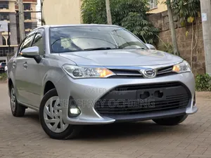 Toyota Axio 2019 Silver
