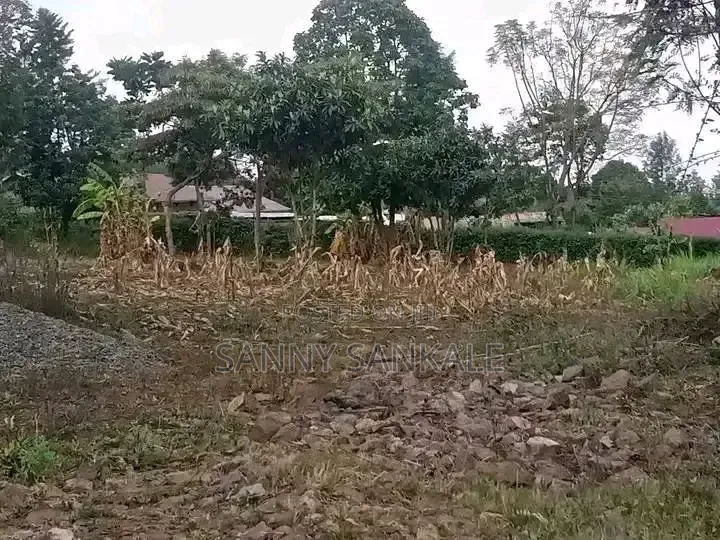 Plot on Sale