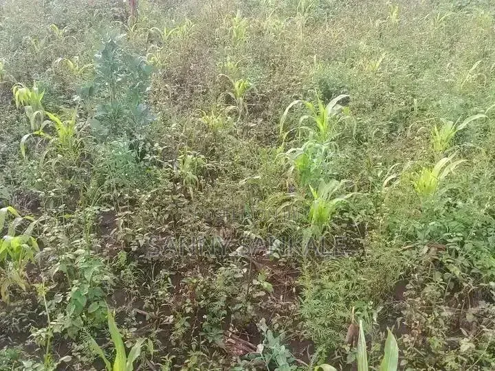 Plot on Sale