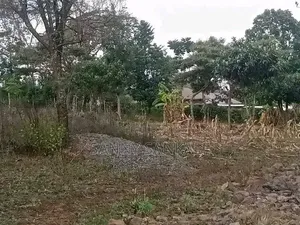 Plot on Sale