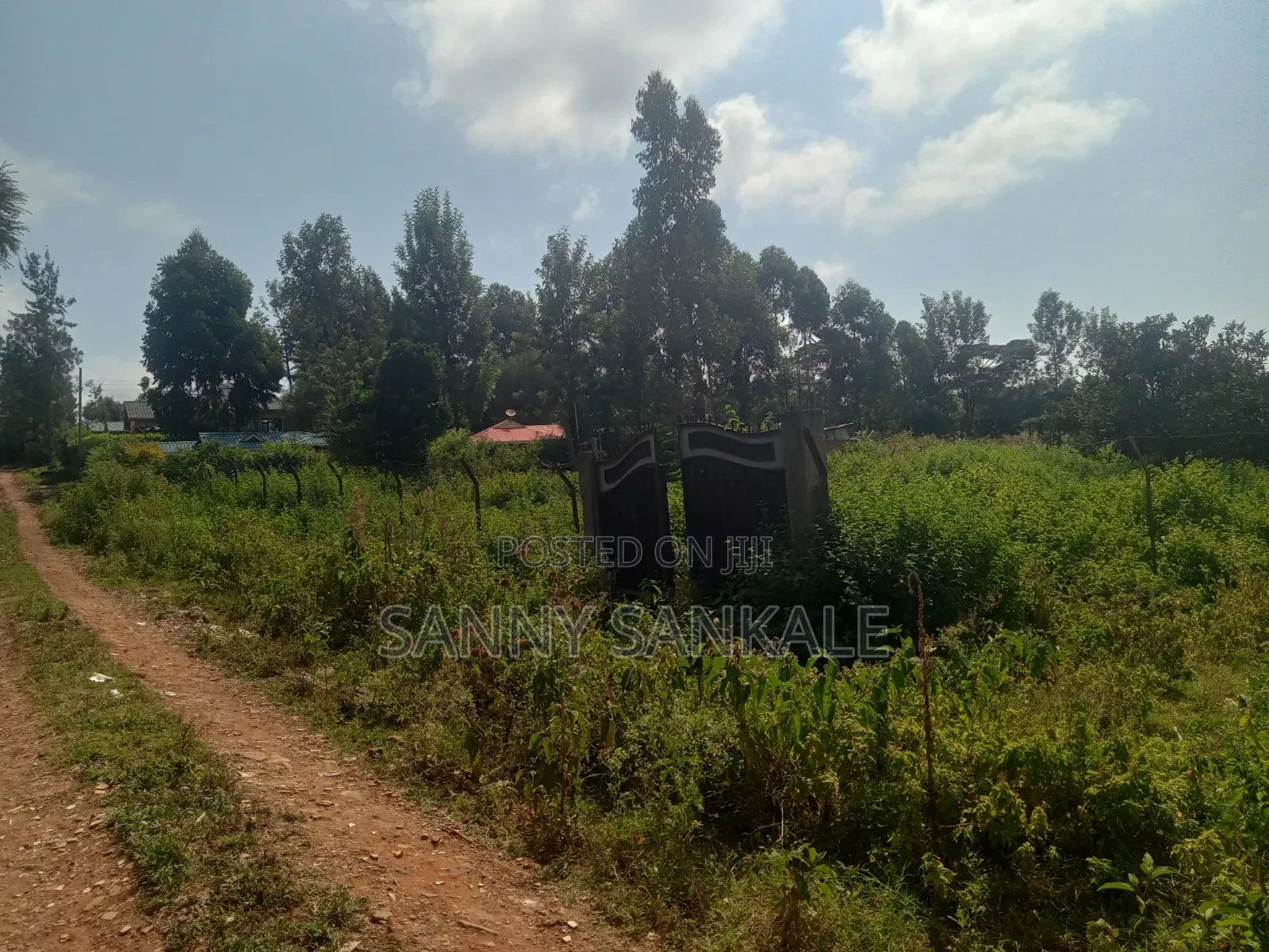 Plot on Sale