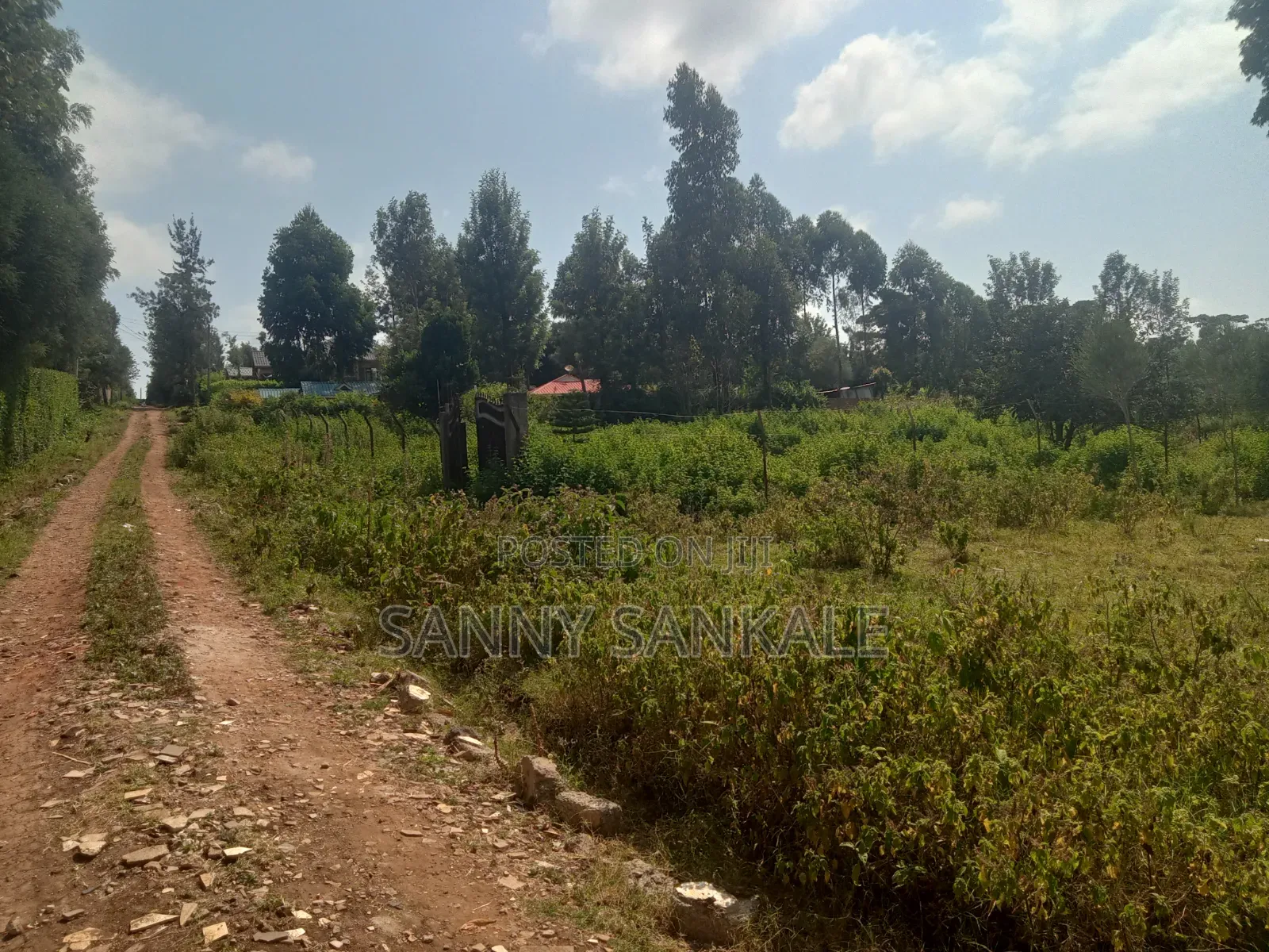 Plot on Sale