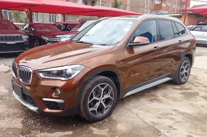 BMW X1 2017 Brown