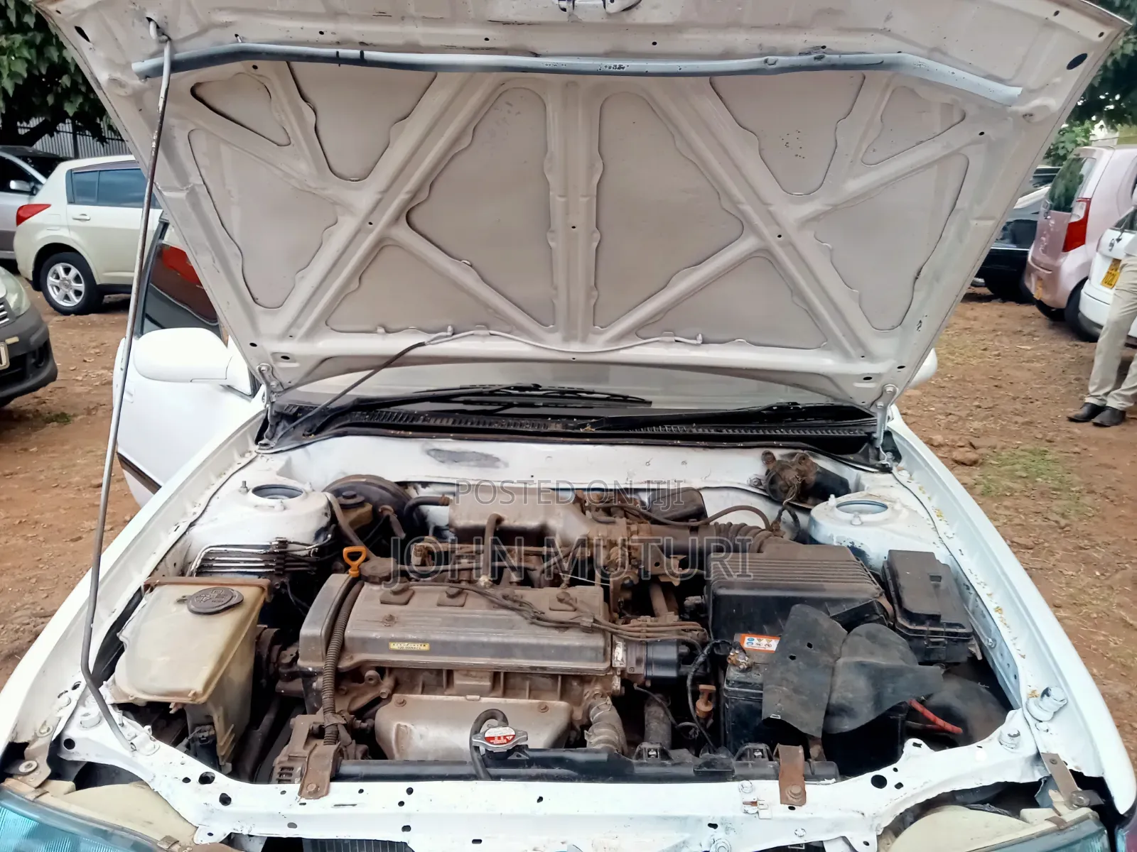 Toyota Corolla 2000 White