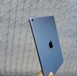 Apple iPad Air 2 16 GB Gray
