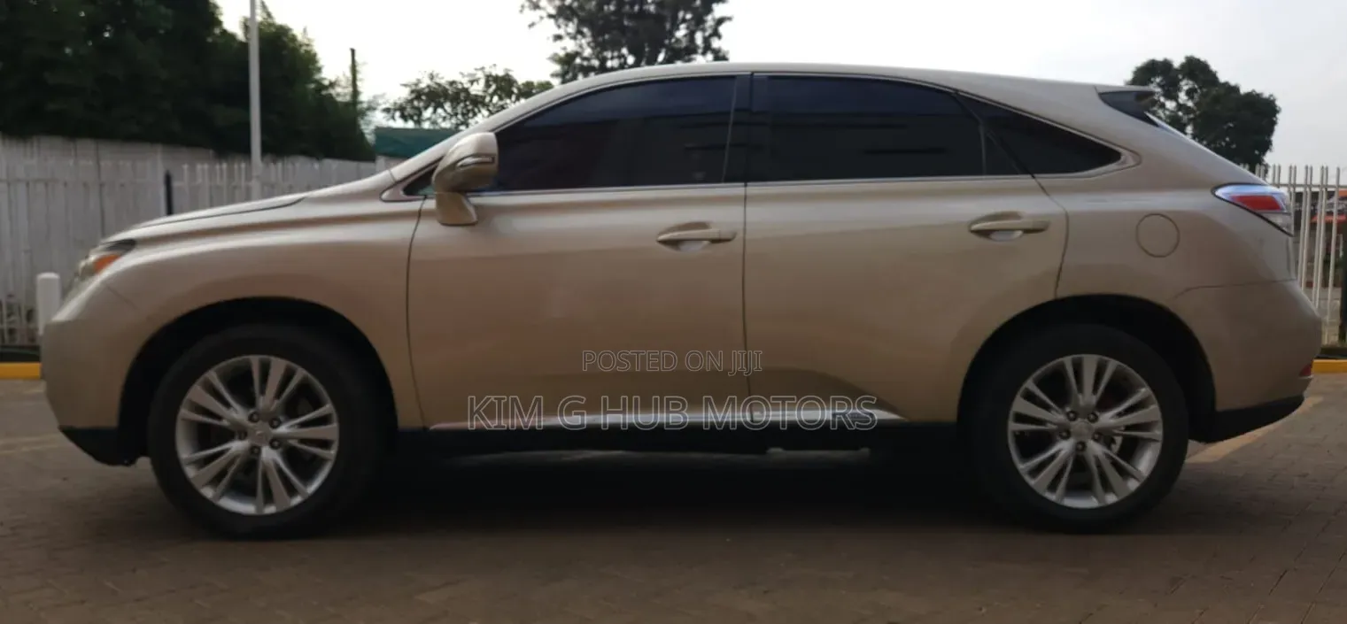 Lexus RX 2011 Gold