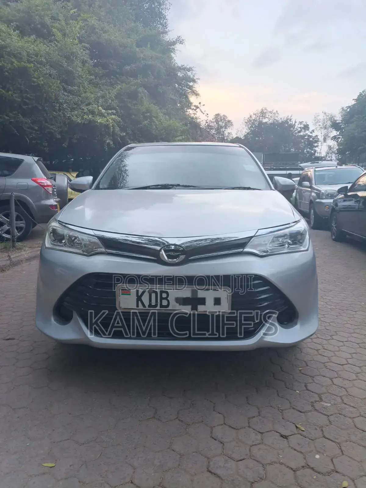 Toyota Axio 2013 Silver