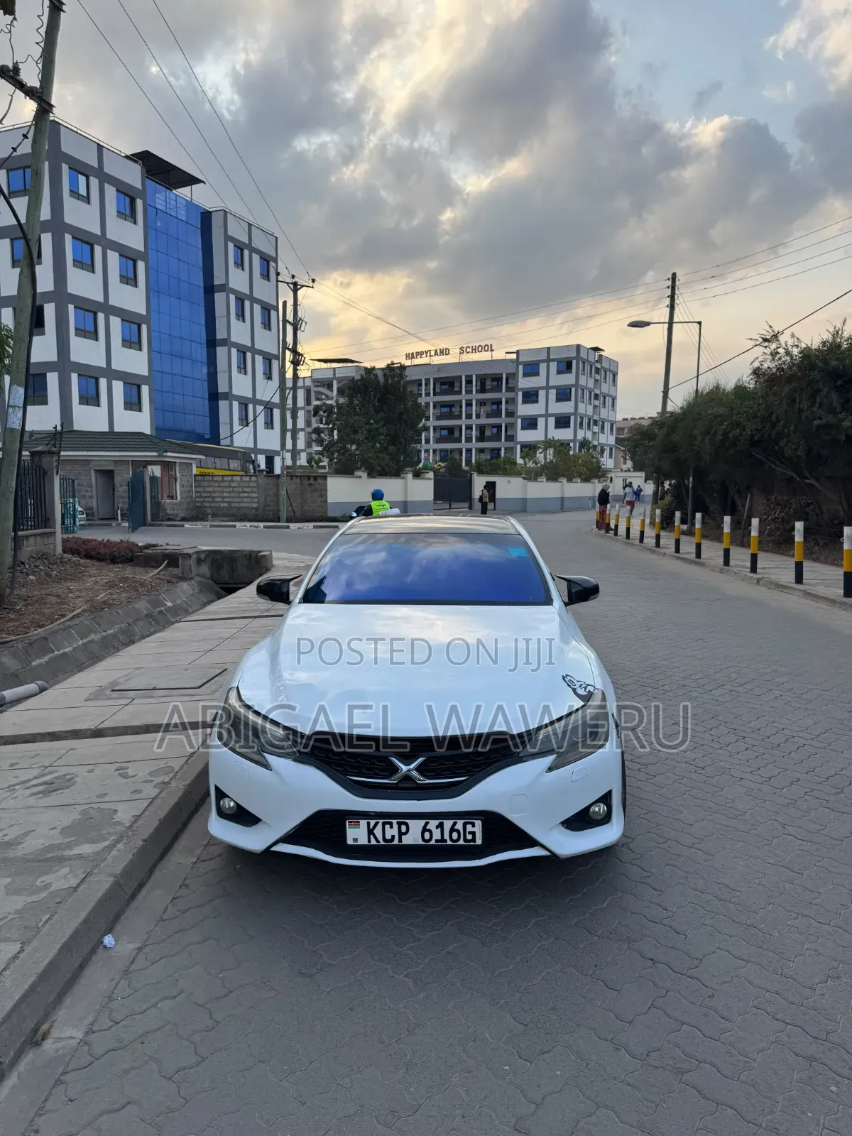 Toyota Mark X 2010 Pearl