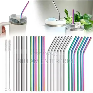 10 PCS Straw Set Plus 2 Cleaning Brushes