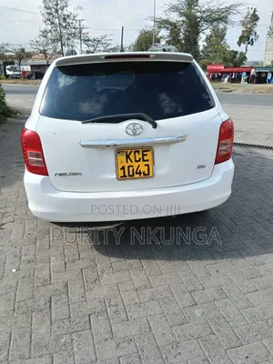 Toyota Corolla Fielder 2010 White
