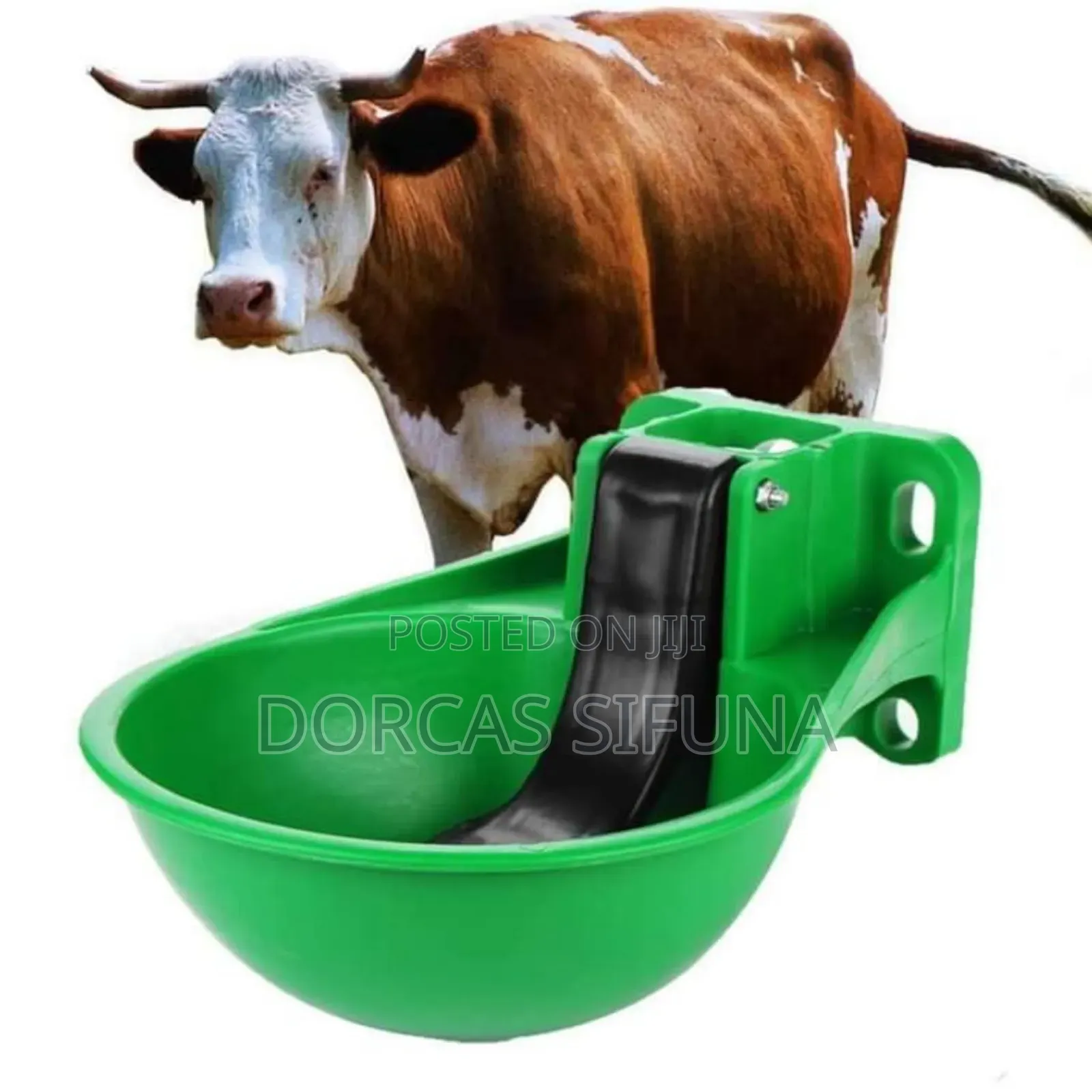 Cow Drinkers