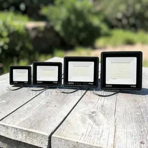 Long Lifespan 300W,100W,50W,30W AC Electric LED Flood Light