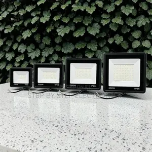 Flicker-Free Reliable 300W,100W,50W,30W AC Electric LED Flood Light