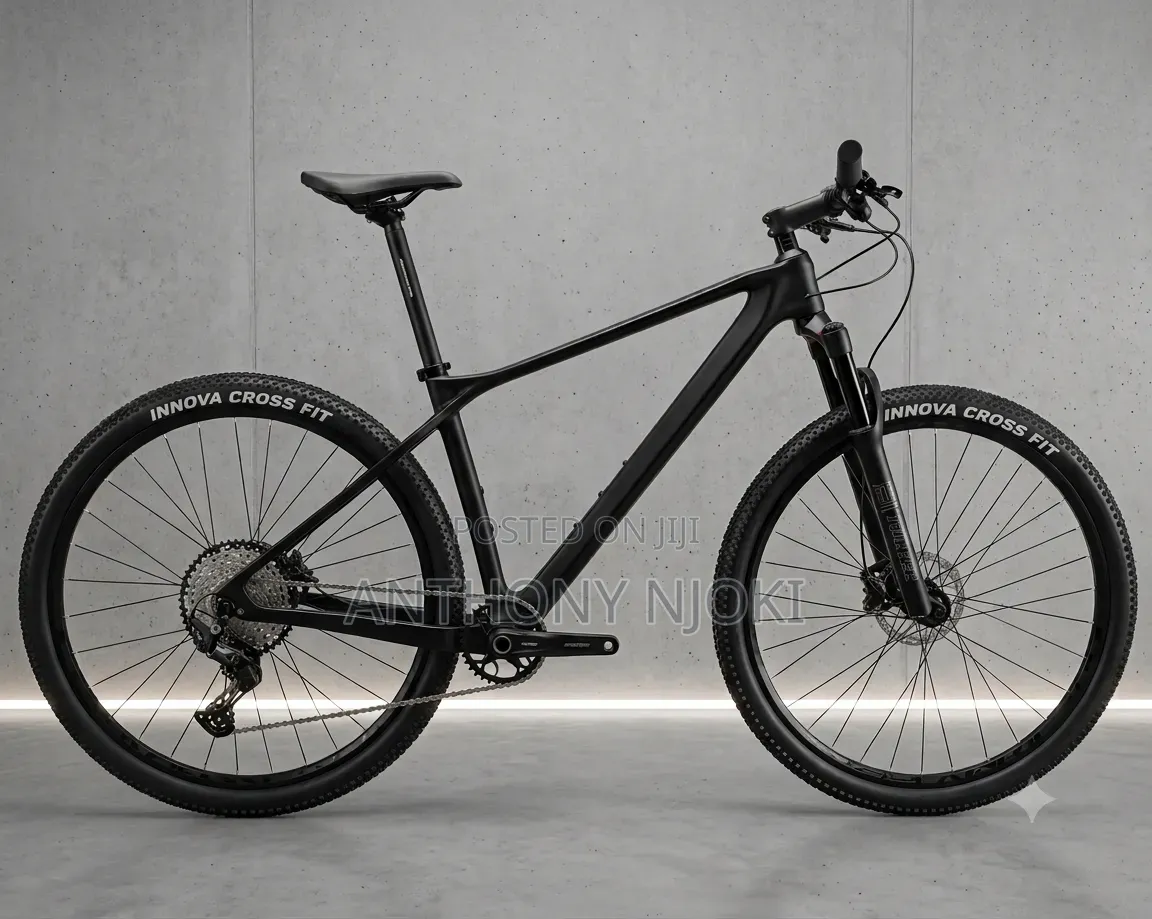 Carbon 29er Hardtail MTB