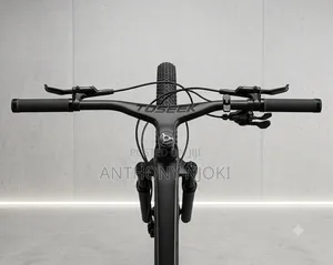 Carbon 29er Hardtail MTB