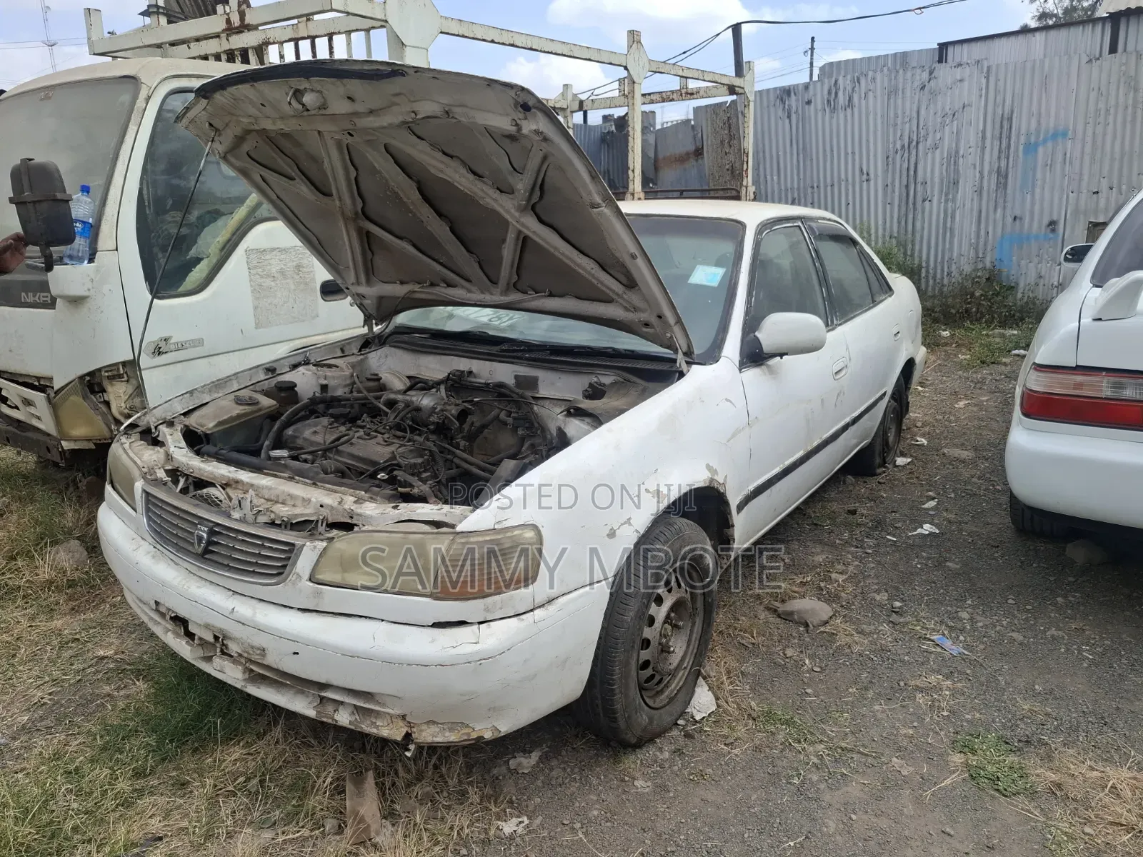 Toyota Corolla 1991 White