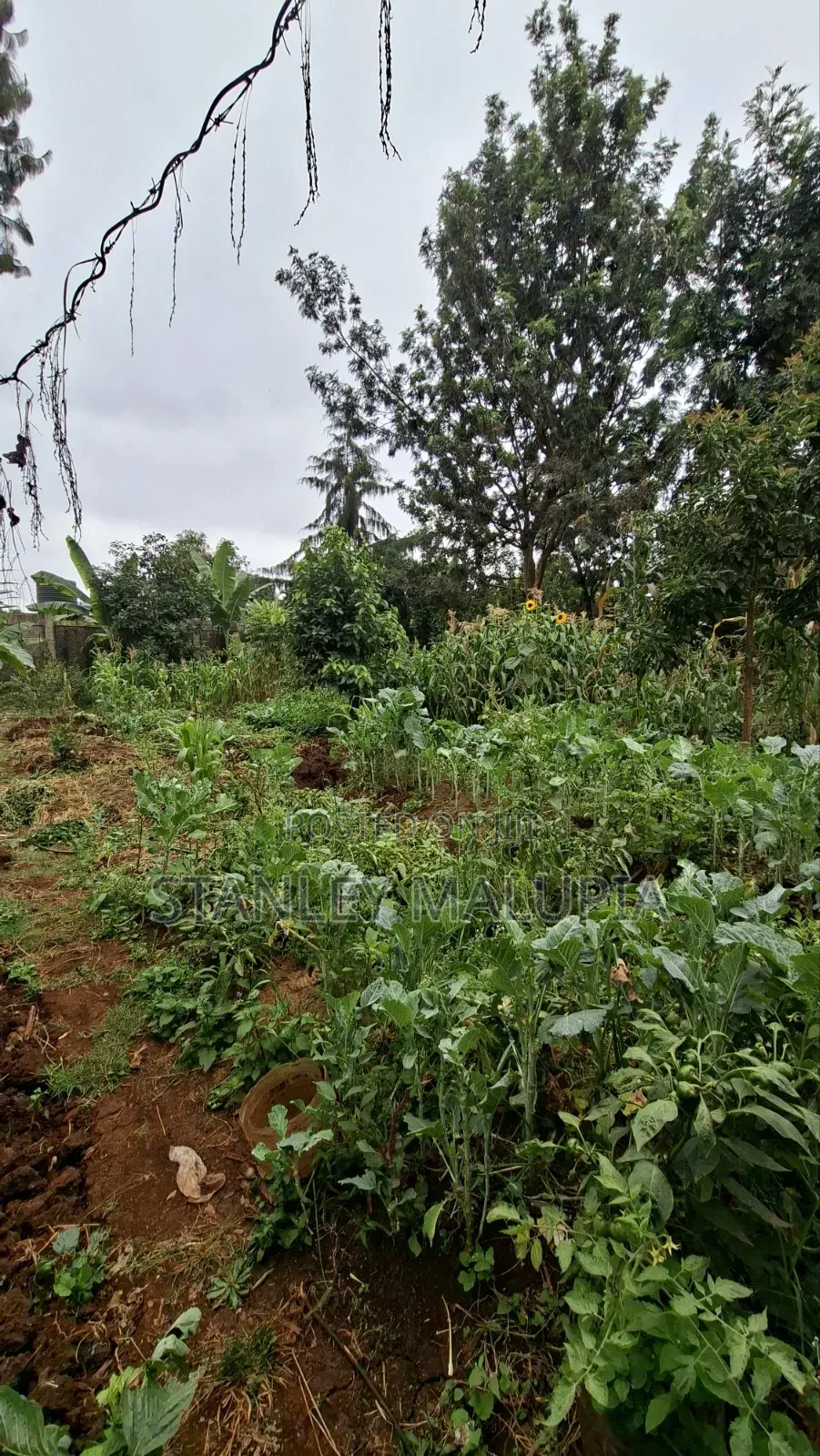 0.687 Acres Prime Land for Sale – Kinoo 87 Road