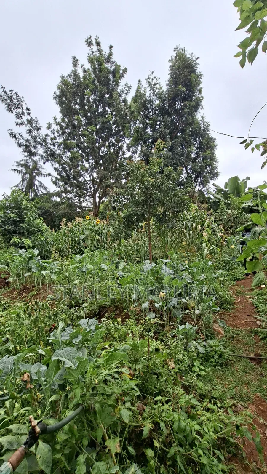 0.687 Acres Prime Land for Sale – Kinoo 87 Road