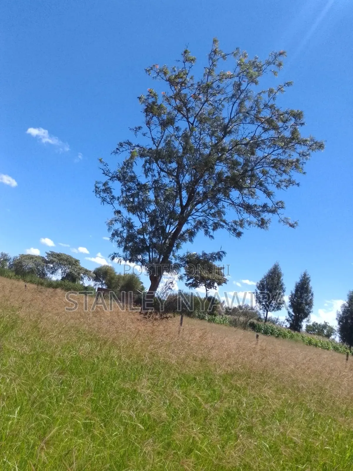 One Acre Just Behind Nanyuki Airstrip