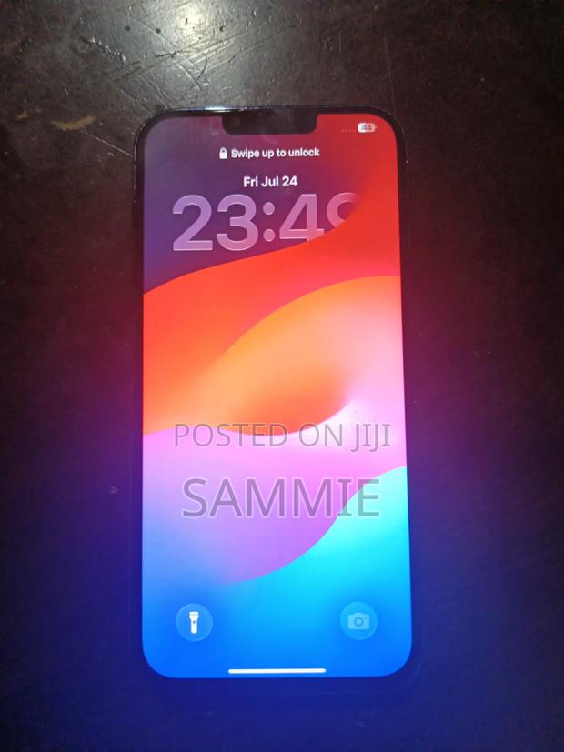 Apple iPhone 13 Pro Max 256 GB Gray - thumbnail 2