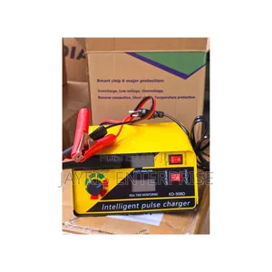 Restocked!!Intelligent Battery Charger 12v/24v