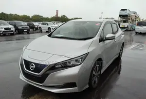 Nissan Leaf 2021 Silver