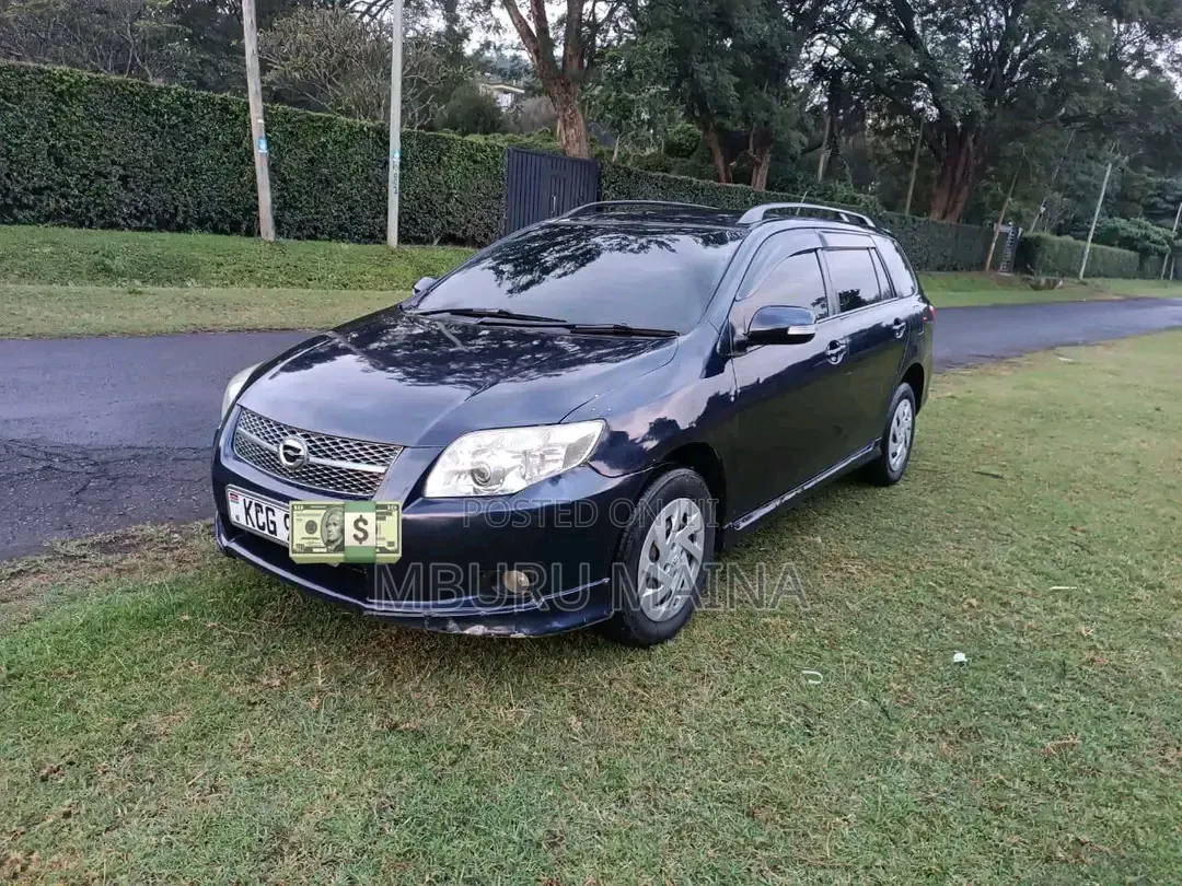Toyota Corolla Fielder 2008 Blue