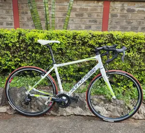 Road Bike Cannadale Synapse Endurance Bike