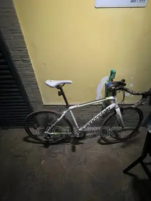 Road Bike Cannadale Synapse Endurance Bike