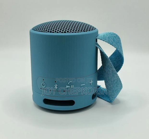 SRS-XB100 Portable Bluetooth Speaker | Wireless Speakers - thumbnail 3