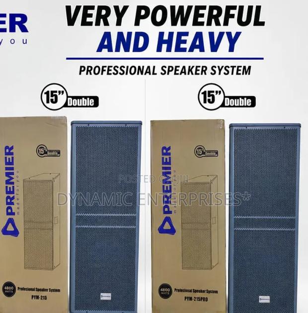 Premier Professional Speaker