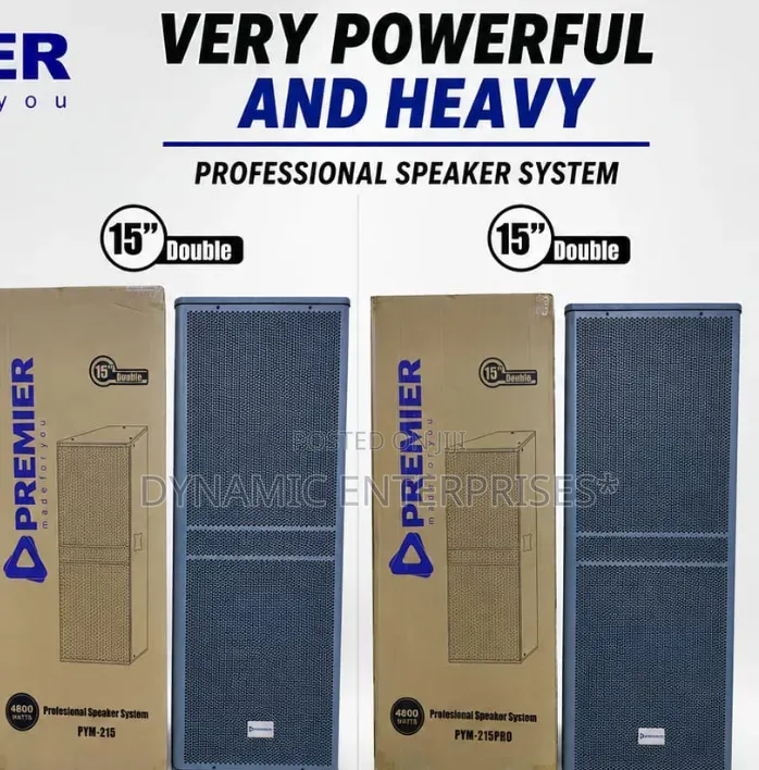Premier Professional Speaker Pds215/15"
