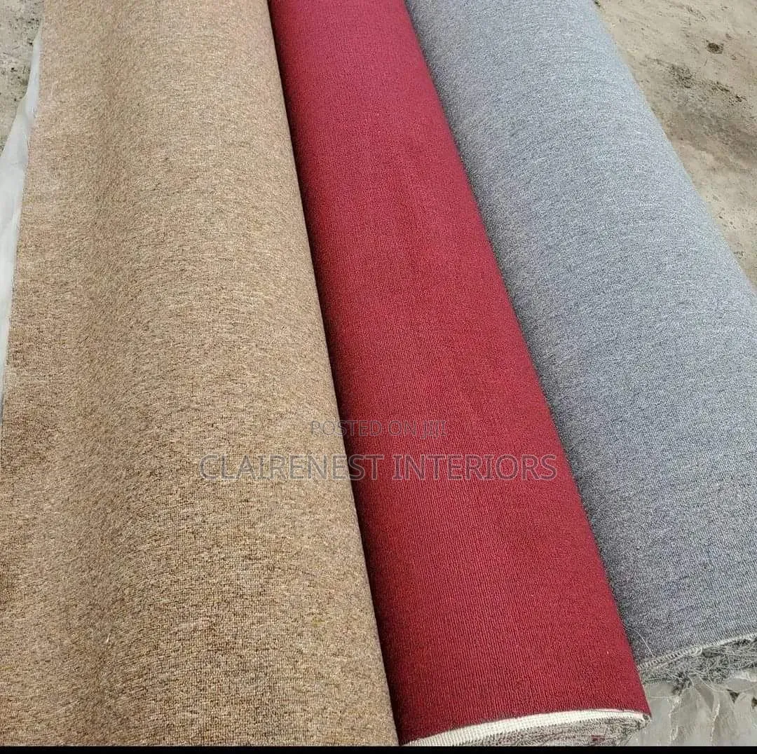 Warmth Meets Elegance Delta Wall to Wall Carpets