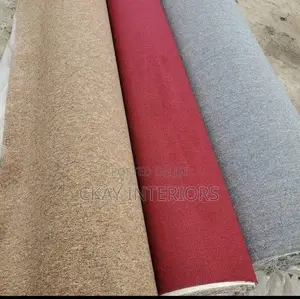 Warmth Meets Elegance Delta Wall to Wall Carpets