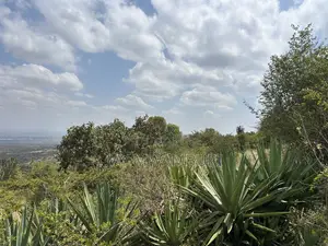 1.8 Acre Mua Hills