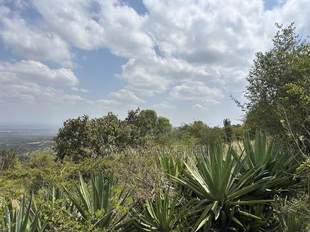 1.8 Acre Mua Hills - thumbnail 2