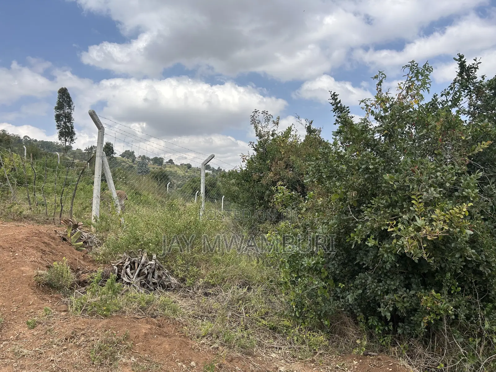 1.8 Acre Mua Hills