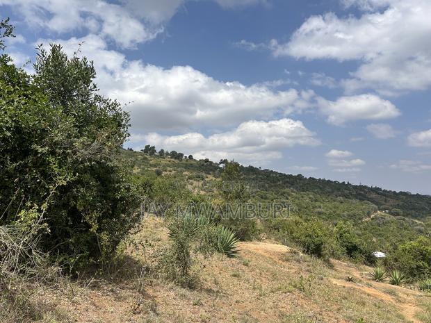 1.8 Acre Mua Hills - thumbnail 5