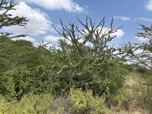 1 1/2 Acre Mua Hills