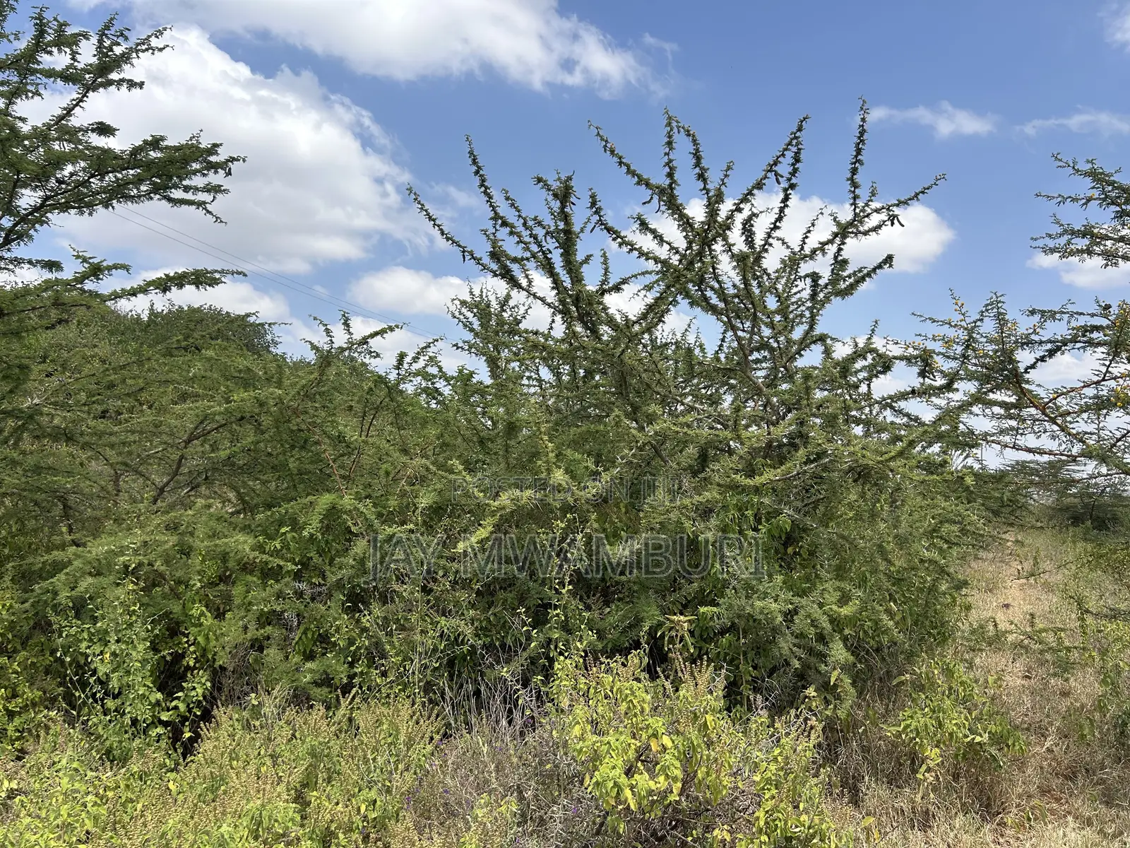 1 1/2 Acre Mua Hills