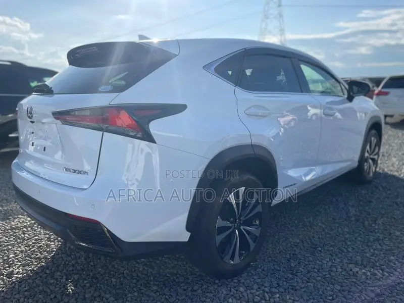 Lexus NX 2019 White