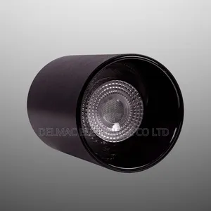30watt Spot Light