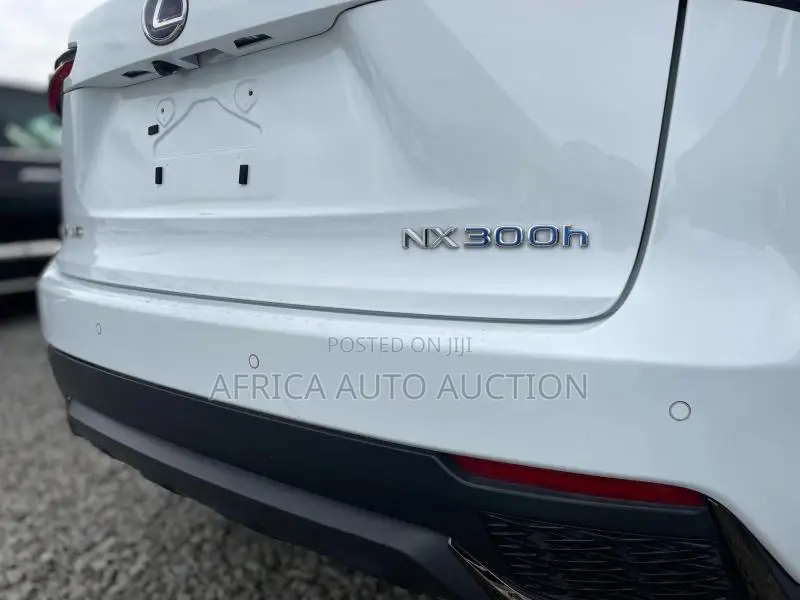 Lexus NX 2019 White