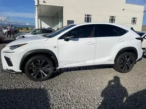 Lexus NX 2019 White