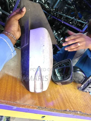 Nissan Sylphy Sidemirror