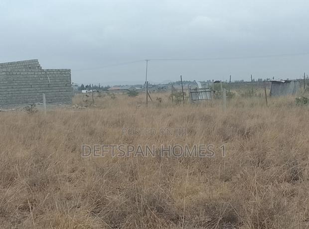 50 by 100 Plot - thumbnail 2